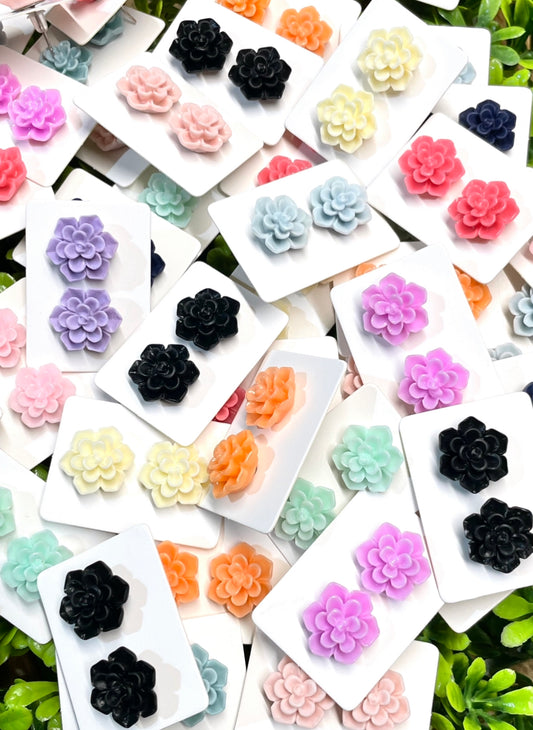 Succulent Earrings Grab Bag | Wholesale Earrings | Thank You Gifts